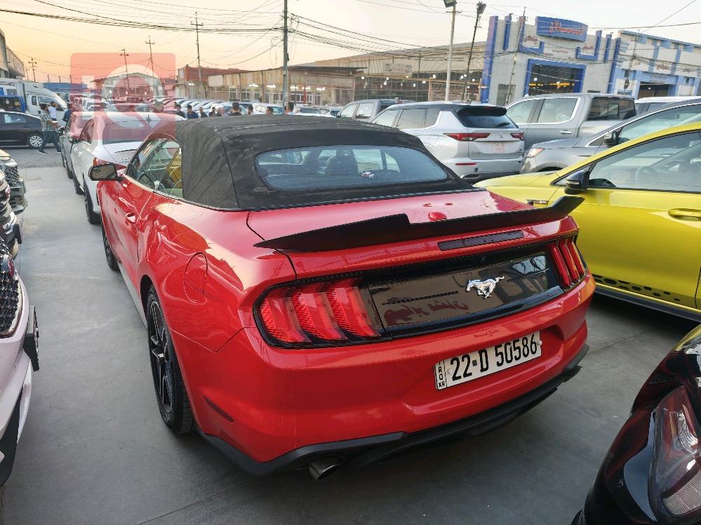 فۆرد مۆستانگ